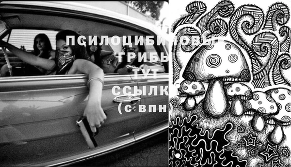 кокс Мегион