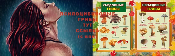 spice Медвежьегорск