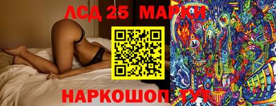 скорость Гатчина