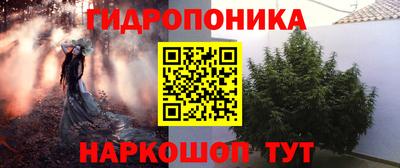 скорость Гатчина
