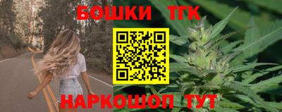 скорость Гатчина
