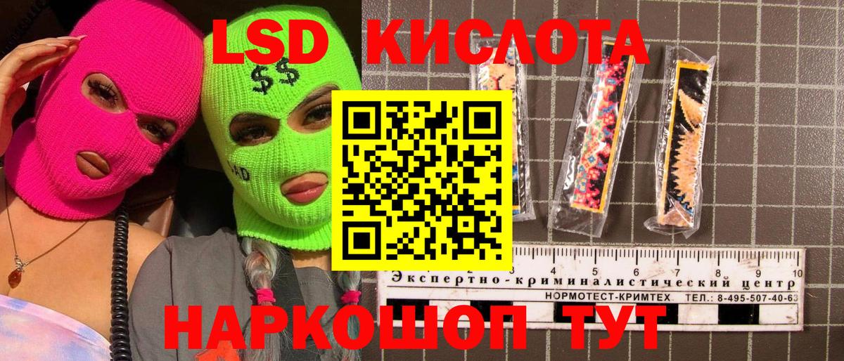 Галлюциногенные грибы Киржач