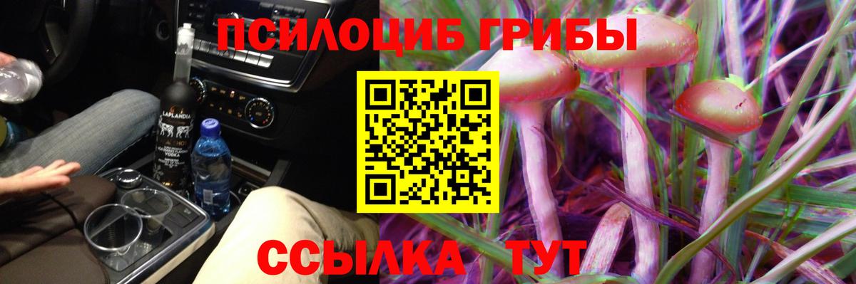 Киржач  Галлюциногенные грибы Magic Shrooms  Вход с VPN 