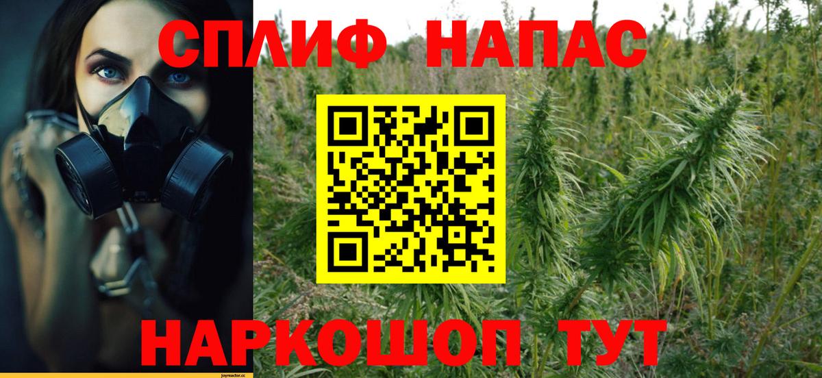 Канабис OG Kush Киржач